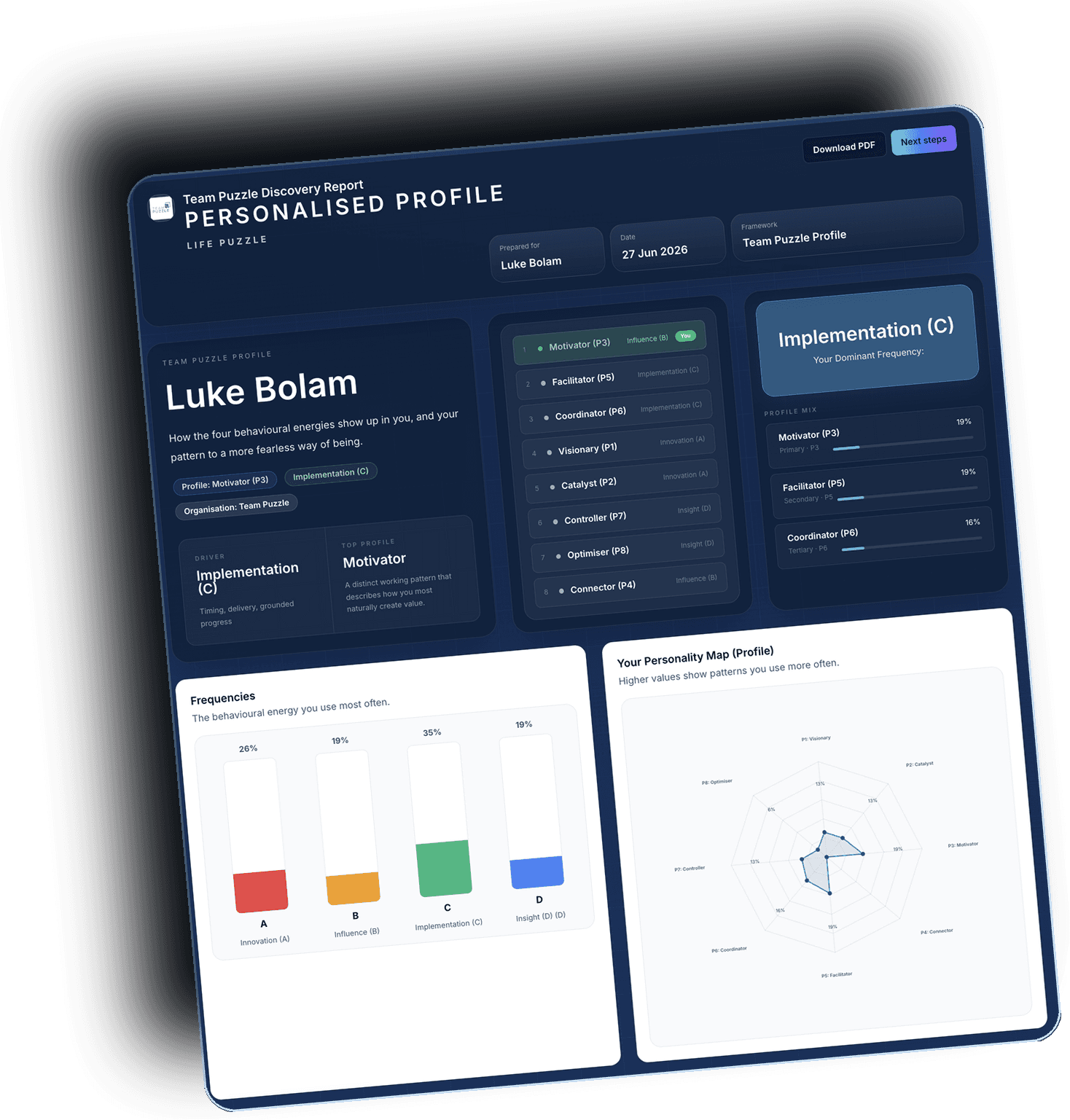 Sample Team Puzzle Discovery Report, client-facing coaching profile with frequencies and personality map
